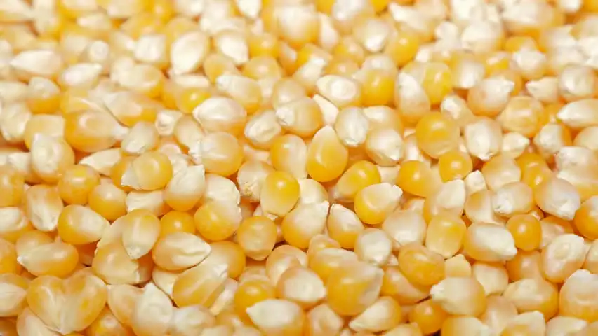 Popcorn
